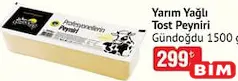 GÜNDOĞDU YARIM YAĞLI TOST PEYNİRİ 1500 G